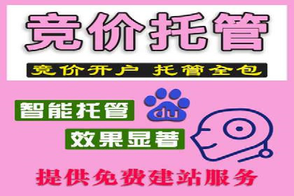 某知名百度推广代理商的营销策略分析